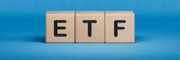 These are the best performing ETFs in 2024